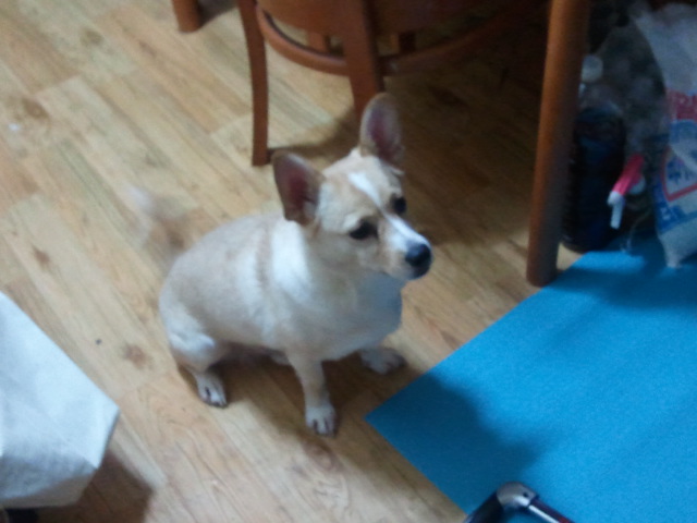 로또 사고 치다!