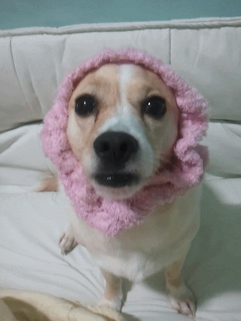 비가 또오네요 ㅜㅜ 