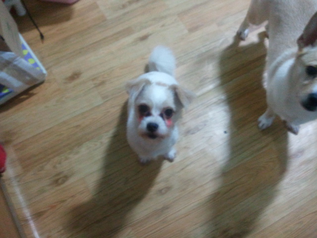 또토에게 볼터치란?