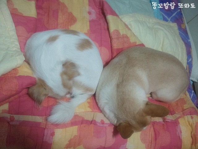 2014년 10월 24일 오후 12시 16분에 저장한 글입니다.