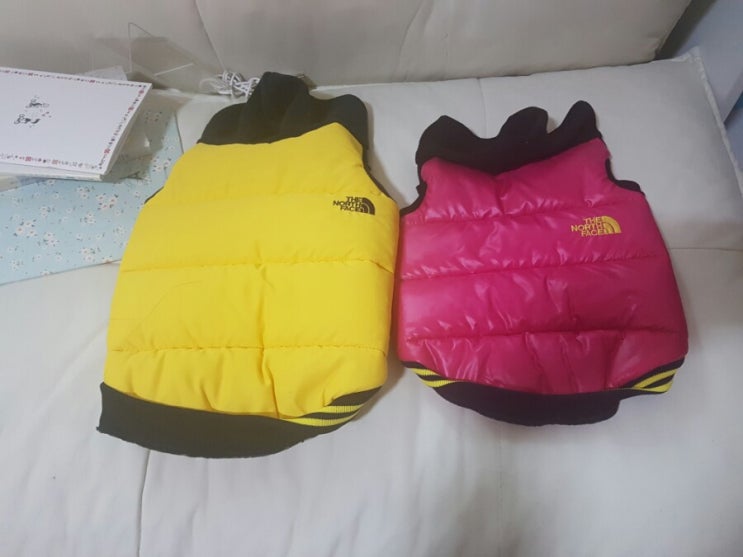 애견 명품 브랜드 노스페이스 짭ㅋㅋ