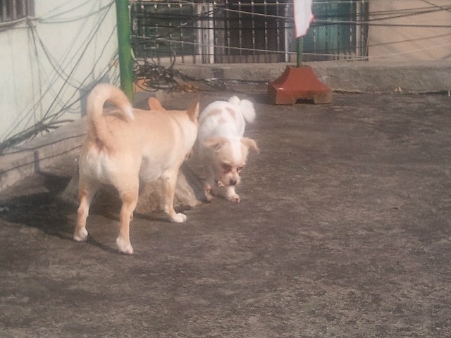 목욕 후 옥상정복기 