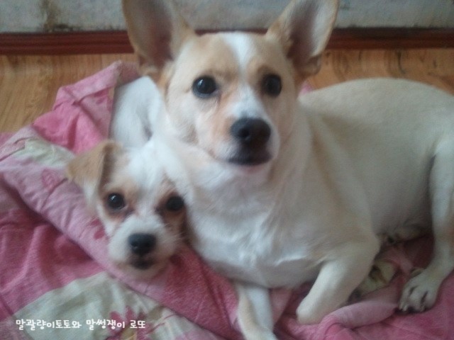 이불을 찾기 시작하는 계절 