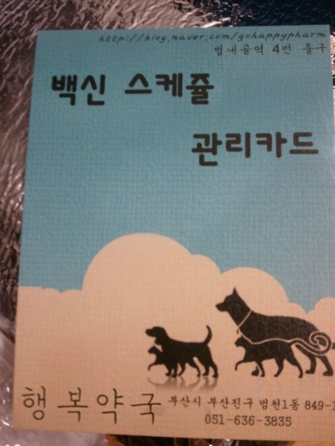 <행복약국> 부산 동물약국 첫 방문기!