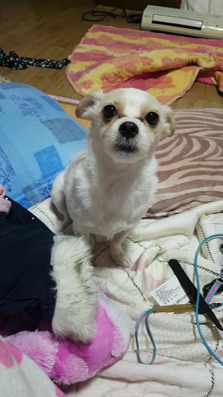 로또 토토 산책 발동