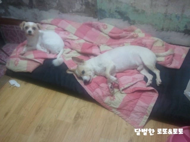 새벽에 만난 그대들 