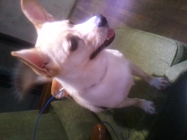 로또 토토 카페가던날 