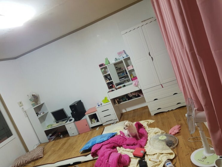 오밤중에 난리치기