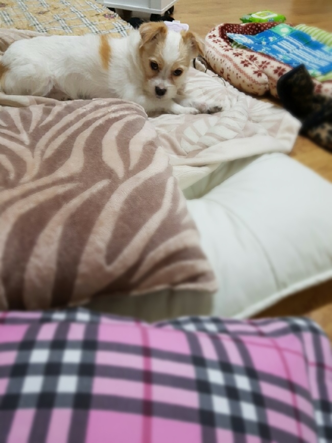 로또토토 오늘 일기