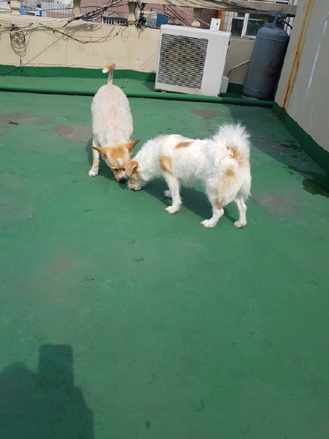 오늘의 로또토토