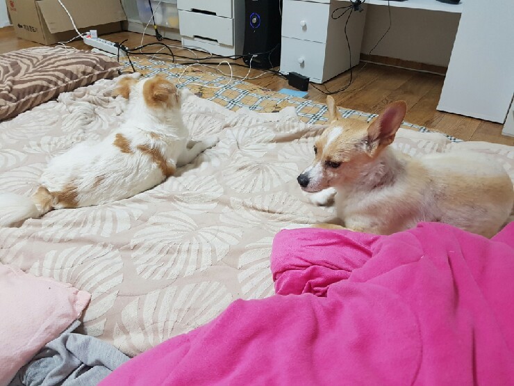 로또맘 드디어 폰 바꾼기념 샷♡