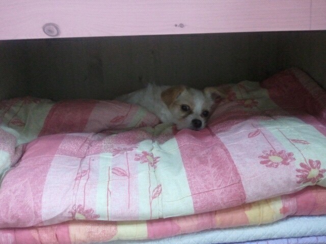 우울한 화이트 데이 ㅠㅠ