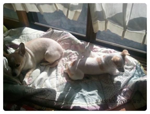 로또와 토토 일상 일광욕 즐기기  